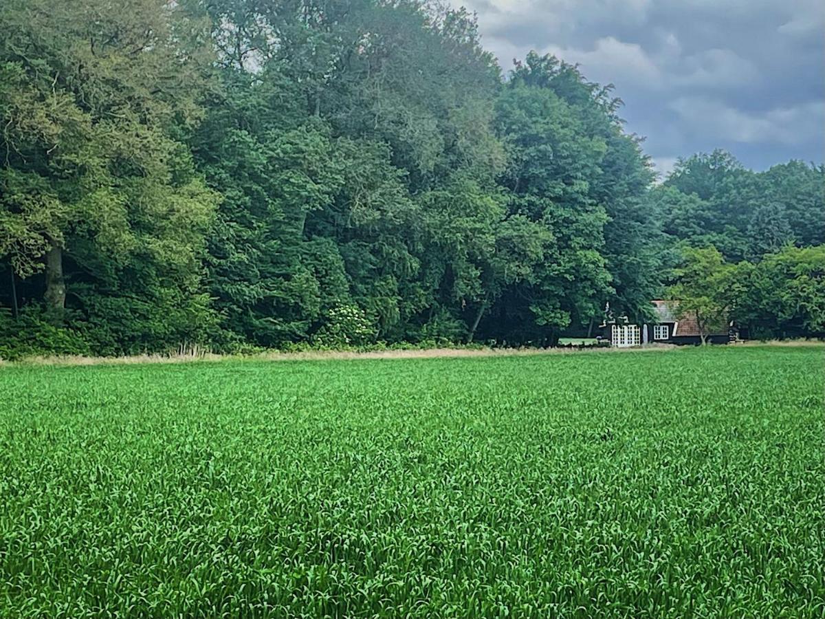 Natuurhuisje - Gastenverblijf De Kleine Hazerij Wijhe Exteriör bild